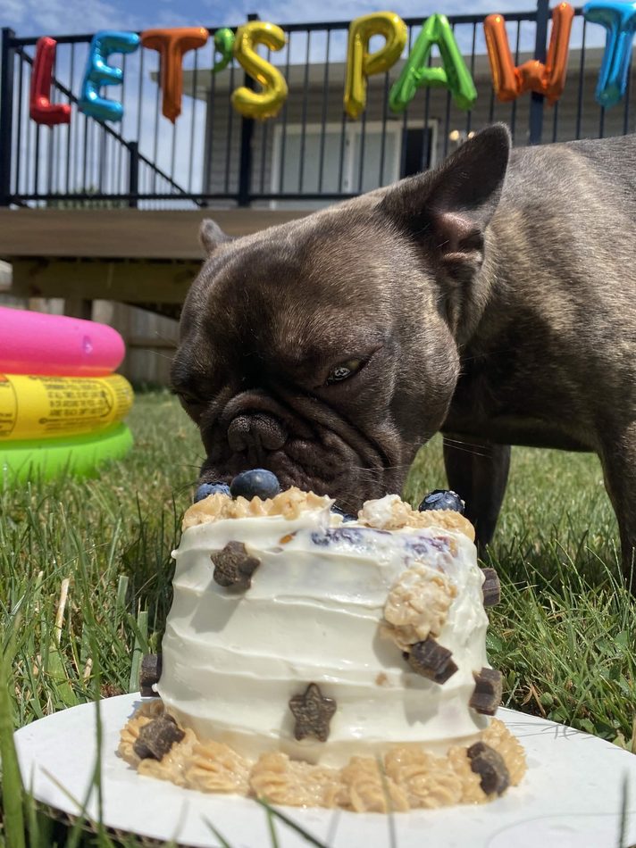 Pup cake at a Let's Pawty dog birthday party